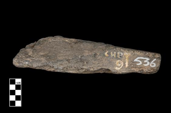 Image of Last Existence: Visit of Indra