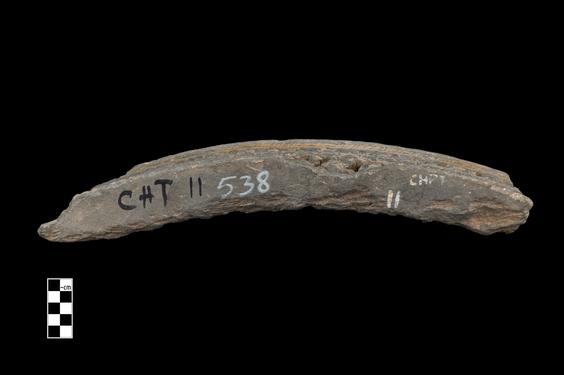 Image of Last Existence: Princely Life