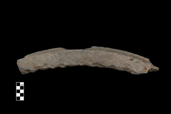 Image of Last Existence: Princely Life