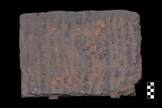 Image of Last Existence: Māra's assault