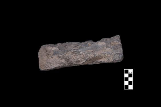 Image of Last Existence: Visit of Indra, Buddha and devotees