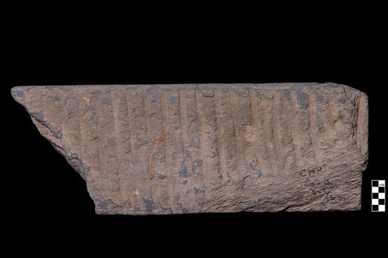 Image of Last Existence: Visit of Indra, Buddha and devotees