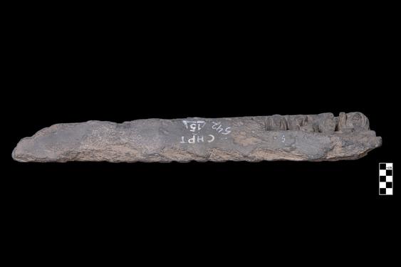 Image of Last Existence: Visit of Indra, Buddha and devotees