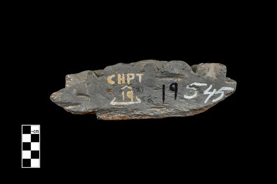 Image of Therianthropic figure