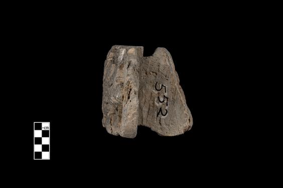 Image of Buddha and devotees