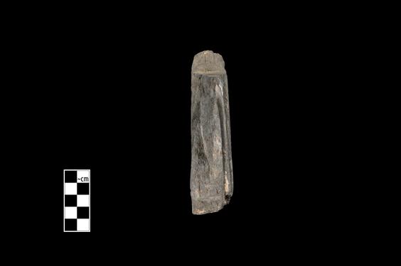 Image of Male devotee