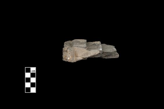 Image of Male devotee