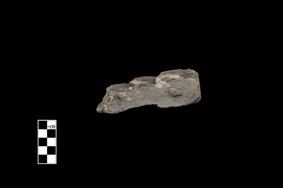 Image of Male devotee