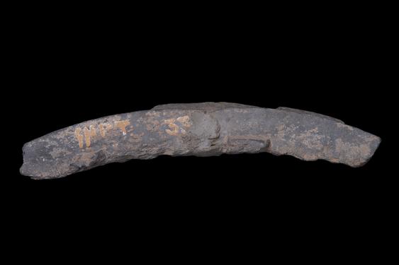 Image of Last Existence: Visit of the ascetics