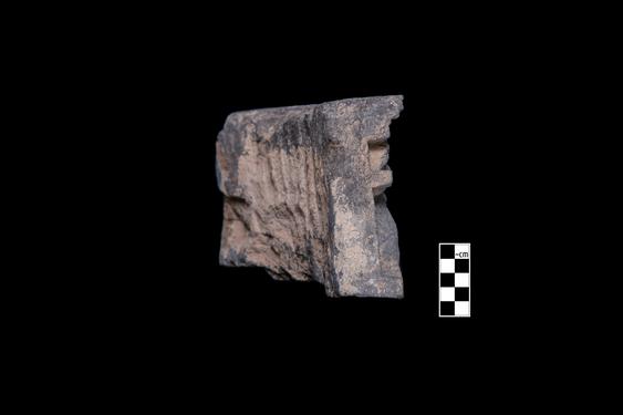 Image of Last Existence: Visit of the Ascetics