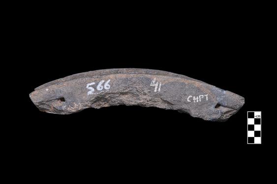 Image of Last Existence: Visit of the Ascetics