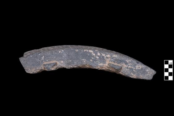 Image of Last Existence: Visit of the Ascetics