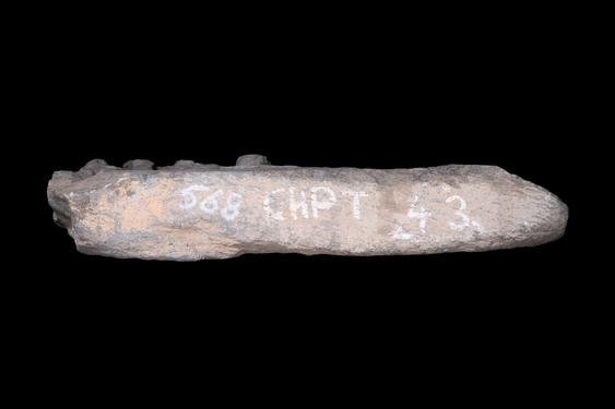 Image of Last Existence: First Sermon