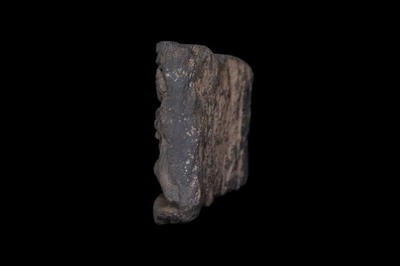 Image of Last Existence: Preparation for the First Sermon