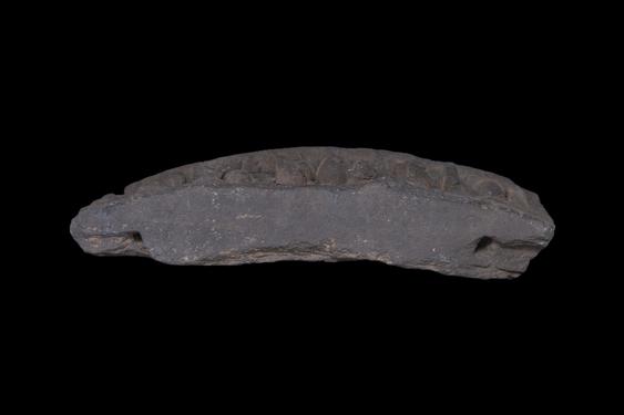 Image of Last Existence: Preparation for the First Sermon