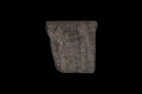 Image of Last Existence: Buddha's birth