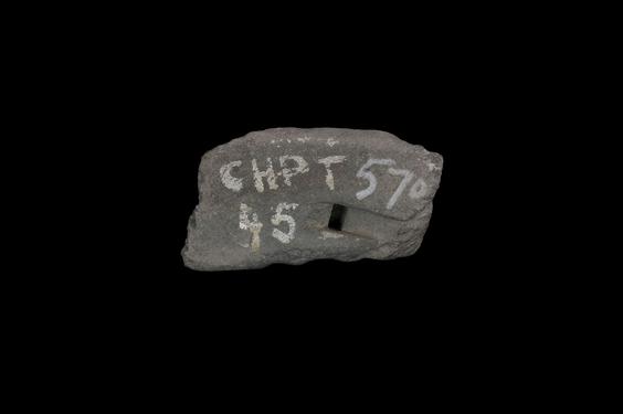 Image of Last Existence: Buddha's birth