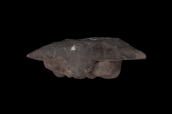 Image of Therianthropic figure