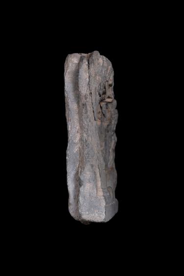 Image of Previous Births: Dīpaṃkara Legend