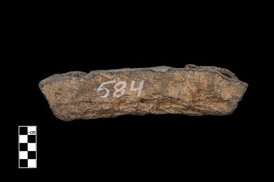 Image of Buddha and devotees