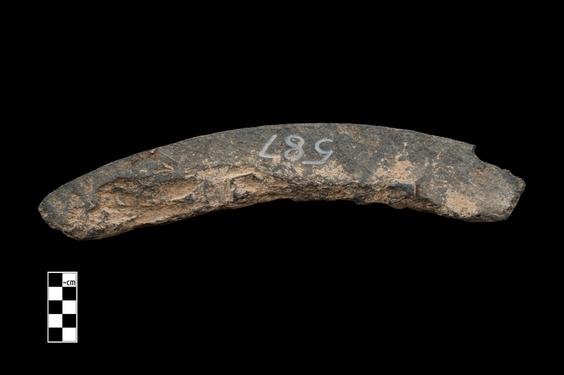 Image of Last Existence: Princely life