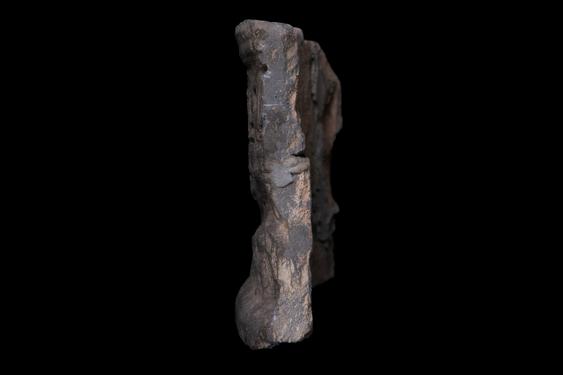 Image of Last Existence: Parinirvāṇa Cycle