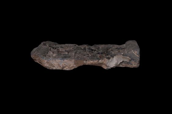 Image of Last Existence: Parinirvāṇa Cycle