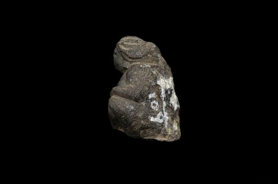 Image of Male figure