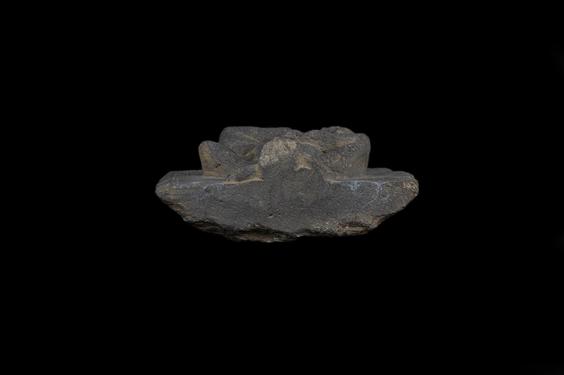 Image of Therianthropic figure