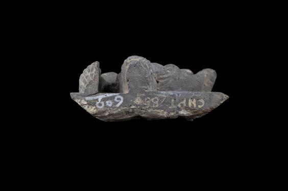 Image of Therianthropic figure