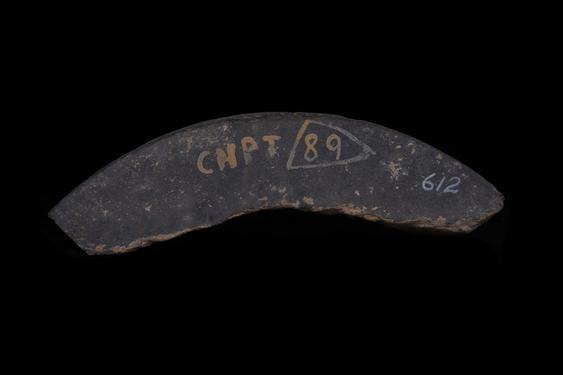 Image of Buddha and devotees; Last Existence: Taming of the Elephant