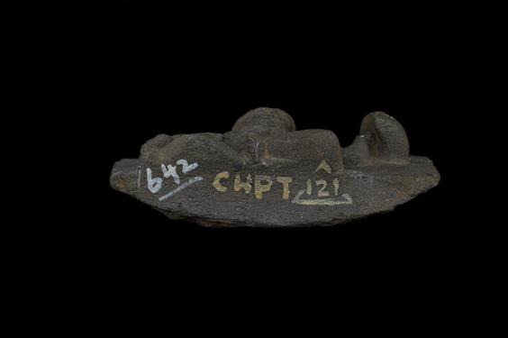 Image of Therianthropic figure