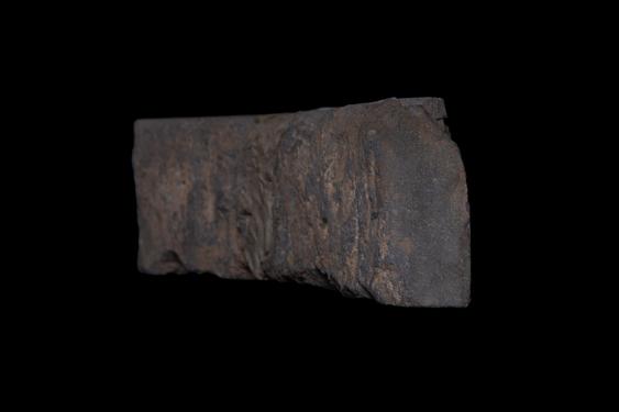 Image of Last Existence: Birth Cycle