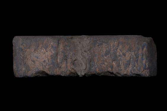 Image of Last Existence: Birth Cycle