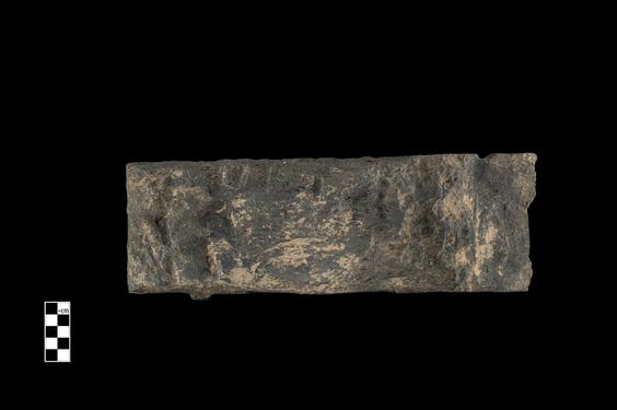 Image of Last Existence: Birth Cycle