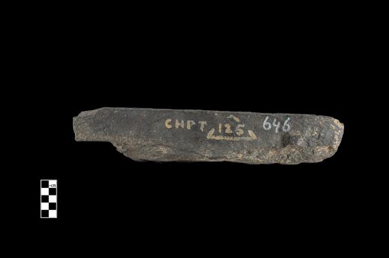 Image of Last Existence: Birth Cycle