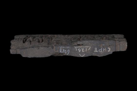 Image of Last Existence: The Buddha's Death