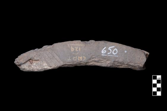 Image of Last Existence: Conversion of Apalāla