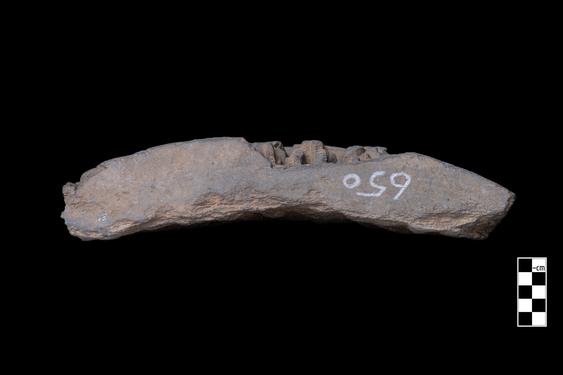 Image of Last Existence: Conversion of Apalāla