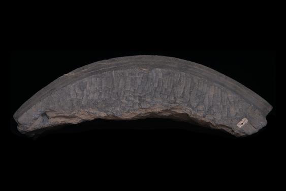 Image of Last Existence: Unidentified scenes