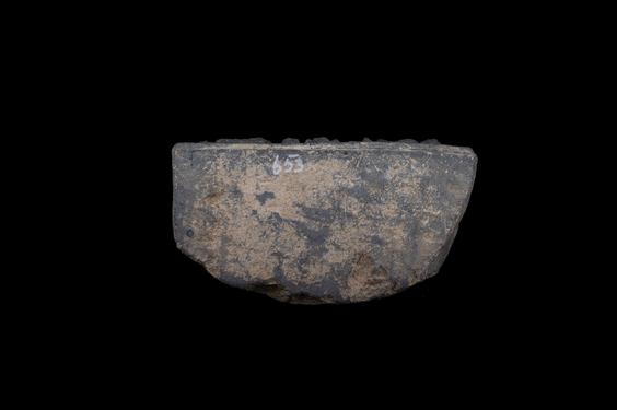 Image of Previous Births: Dīpaṃkara Legend