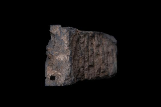 Image of Last Existence: Birth Cycle