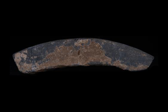 Image of Last Existence: Birth Cycle