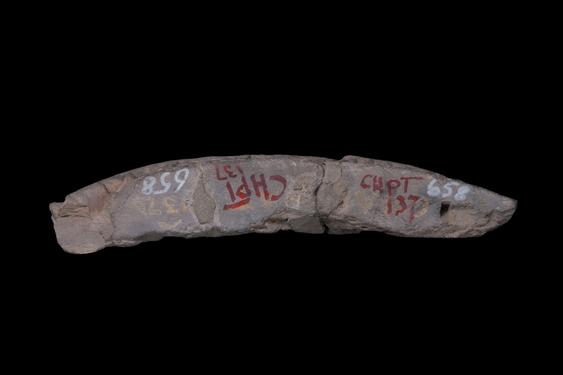 Image of Last Existence: Unidentified scene, Visit to the Ascetics