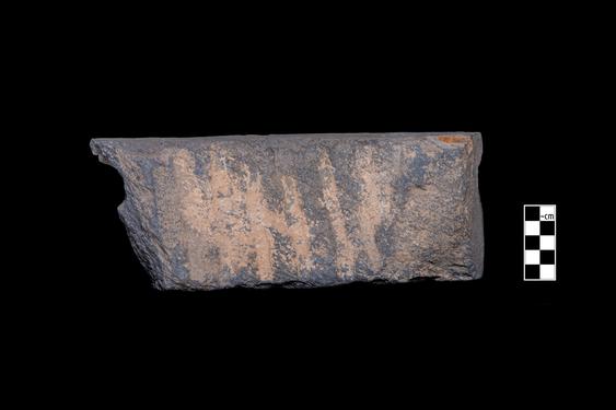 Image of Last Existence: Birth Cycle