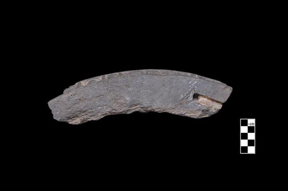 Image of Last Existence: Birth Cycle