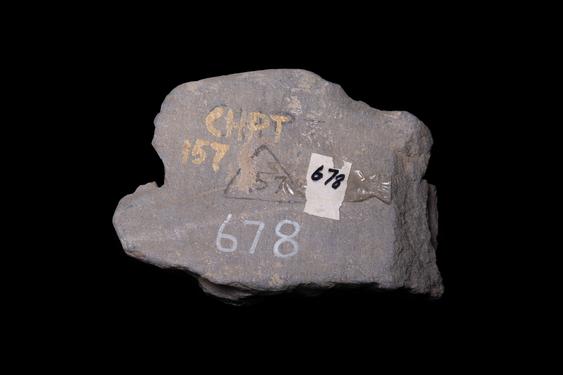 Image of Male devotees