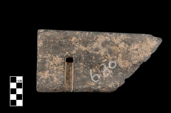 Image of Winged lion