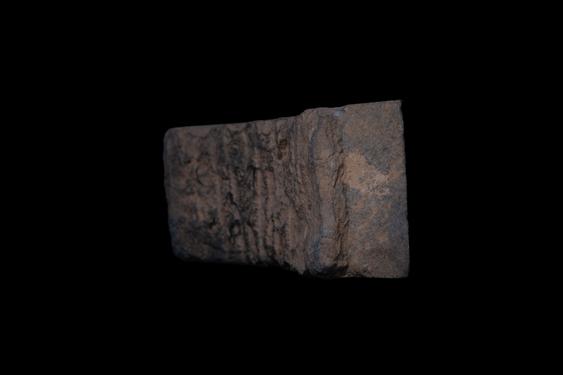 Image of Last Existence: Competitions