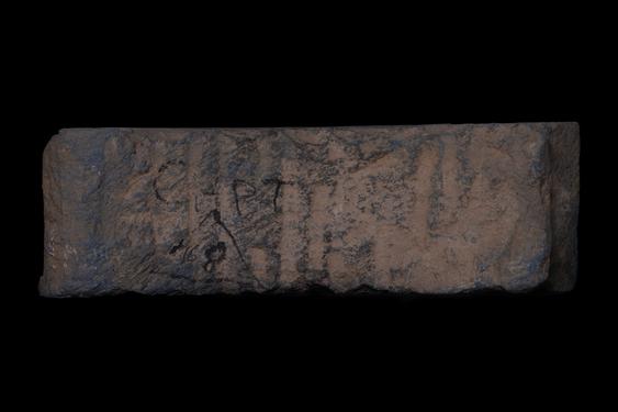 Image of Last Existence: Competitions